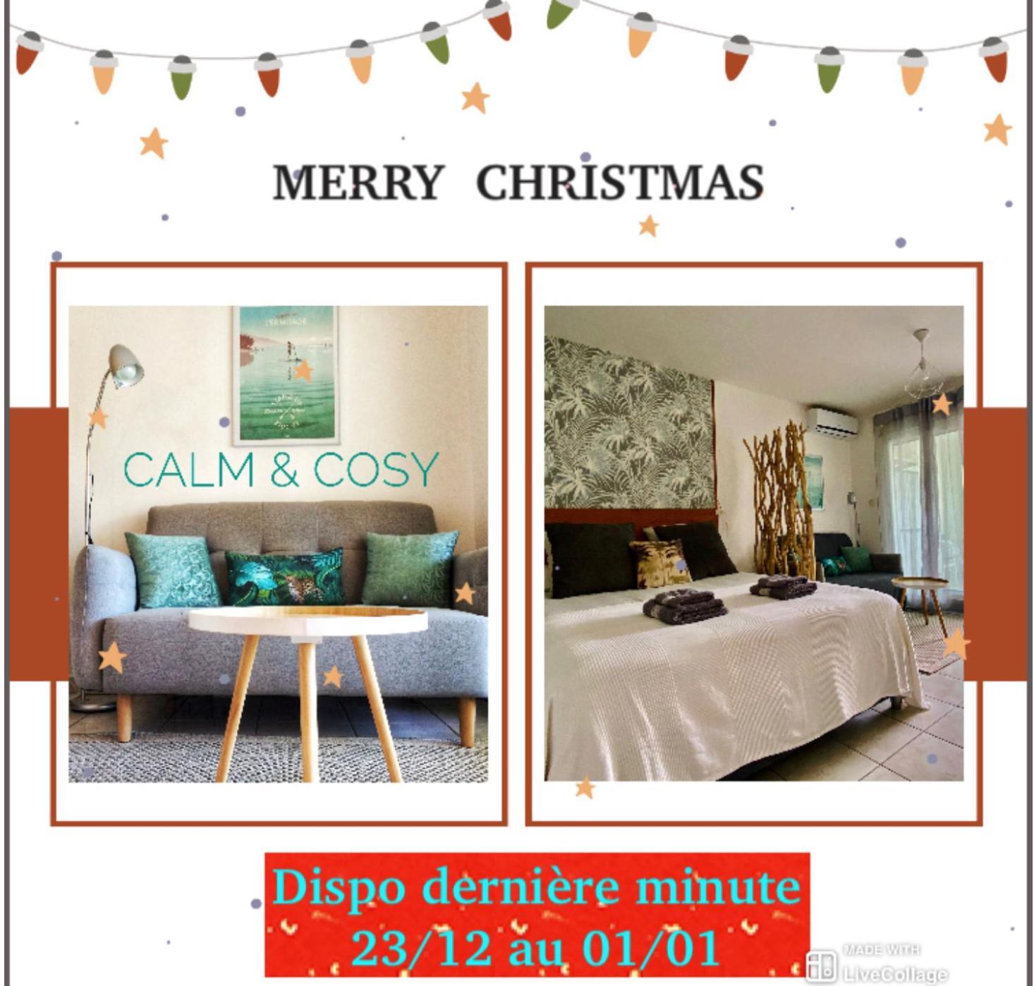 דירות סן-פייר Calm & Cosy, Magnifique T1 Proche Chu חדר תמונה