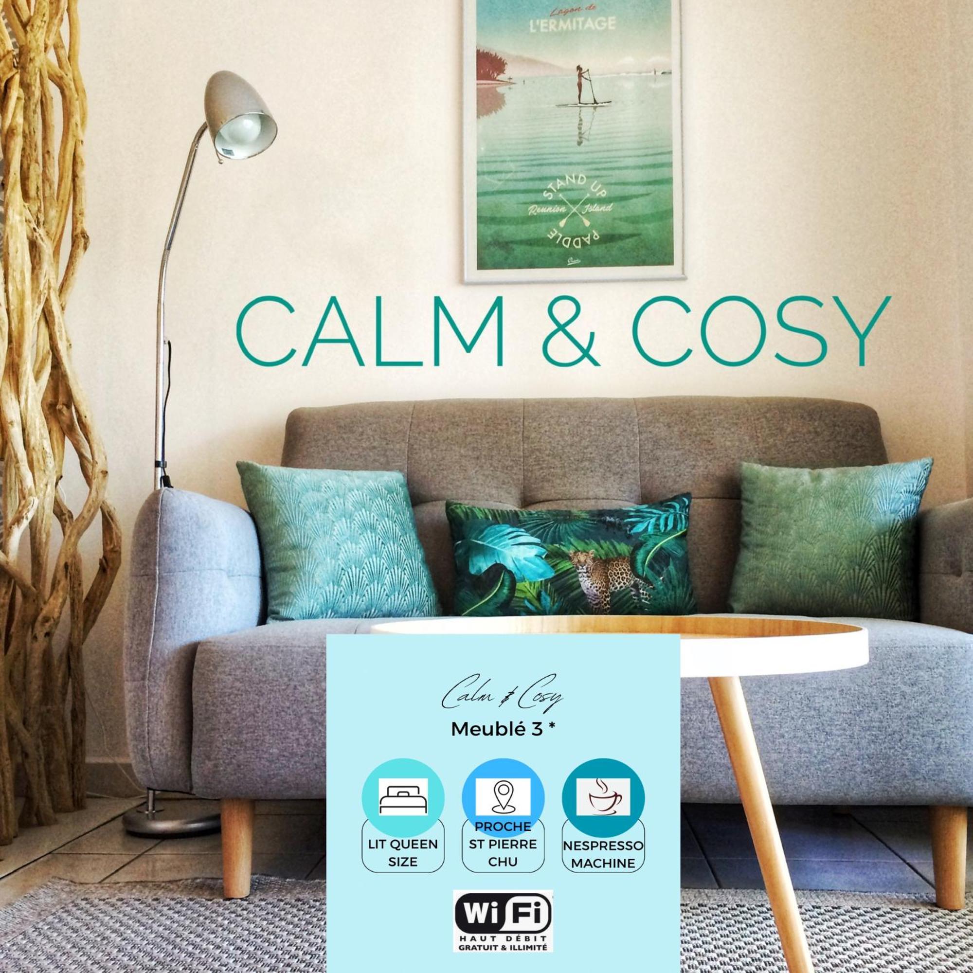 דירות סן-פייר Calm & Cosy, Magnifique T1 Proche Chu מראה חיצוני תמונה